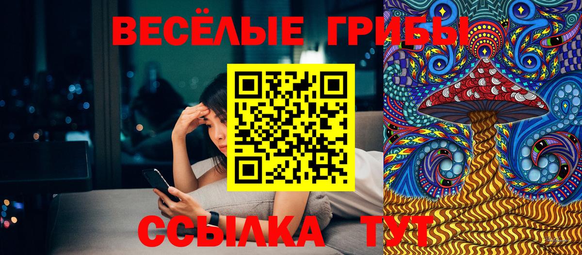 Галлюциногенные грибы MAGIC MUSHROOMS Алатырь